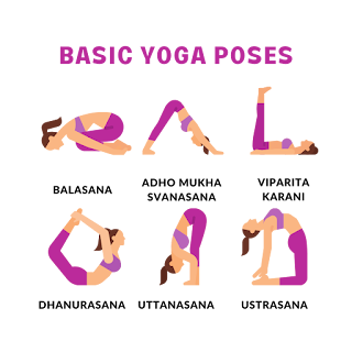 Basic20Yoga